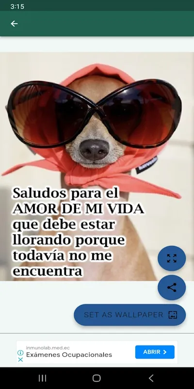 Saludos graciosos con imágenes | Indus Appstore | Screenshot