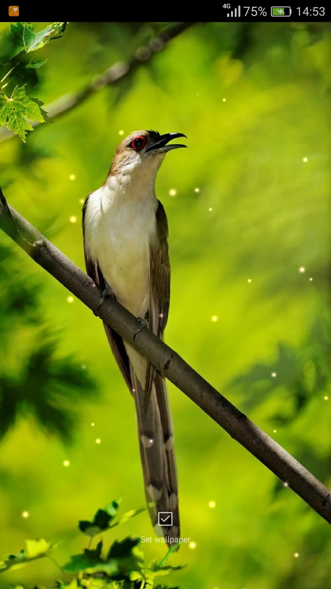 Birds Sounds Ringtones | Indus Appstore | Screenshot