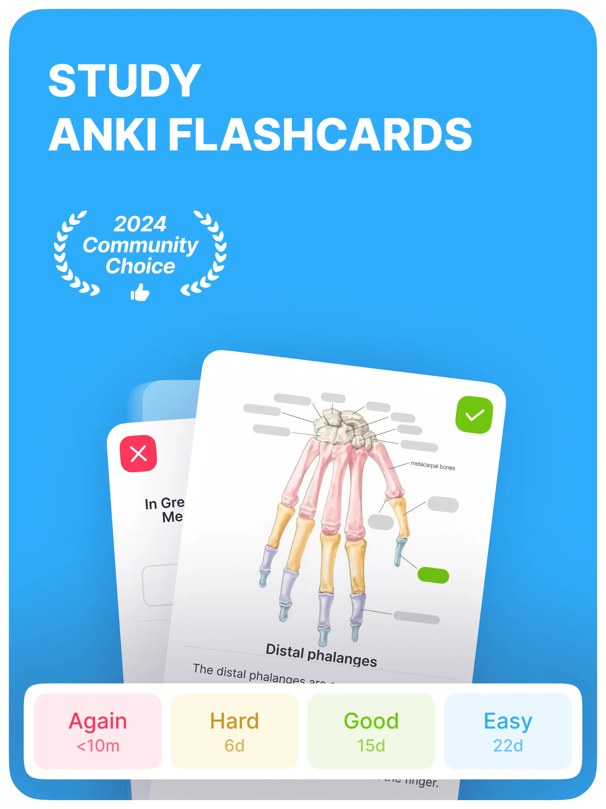 Anki Pro: Flashcards Learning | Indus Appstore | Screenshot