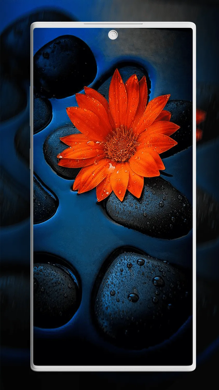 Flower Wallpapers | Indus Appstore | Screenshot