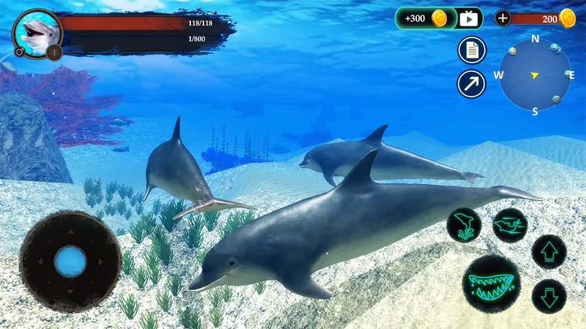 The Dolphin | Indus Appstore | Screenshot