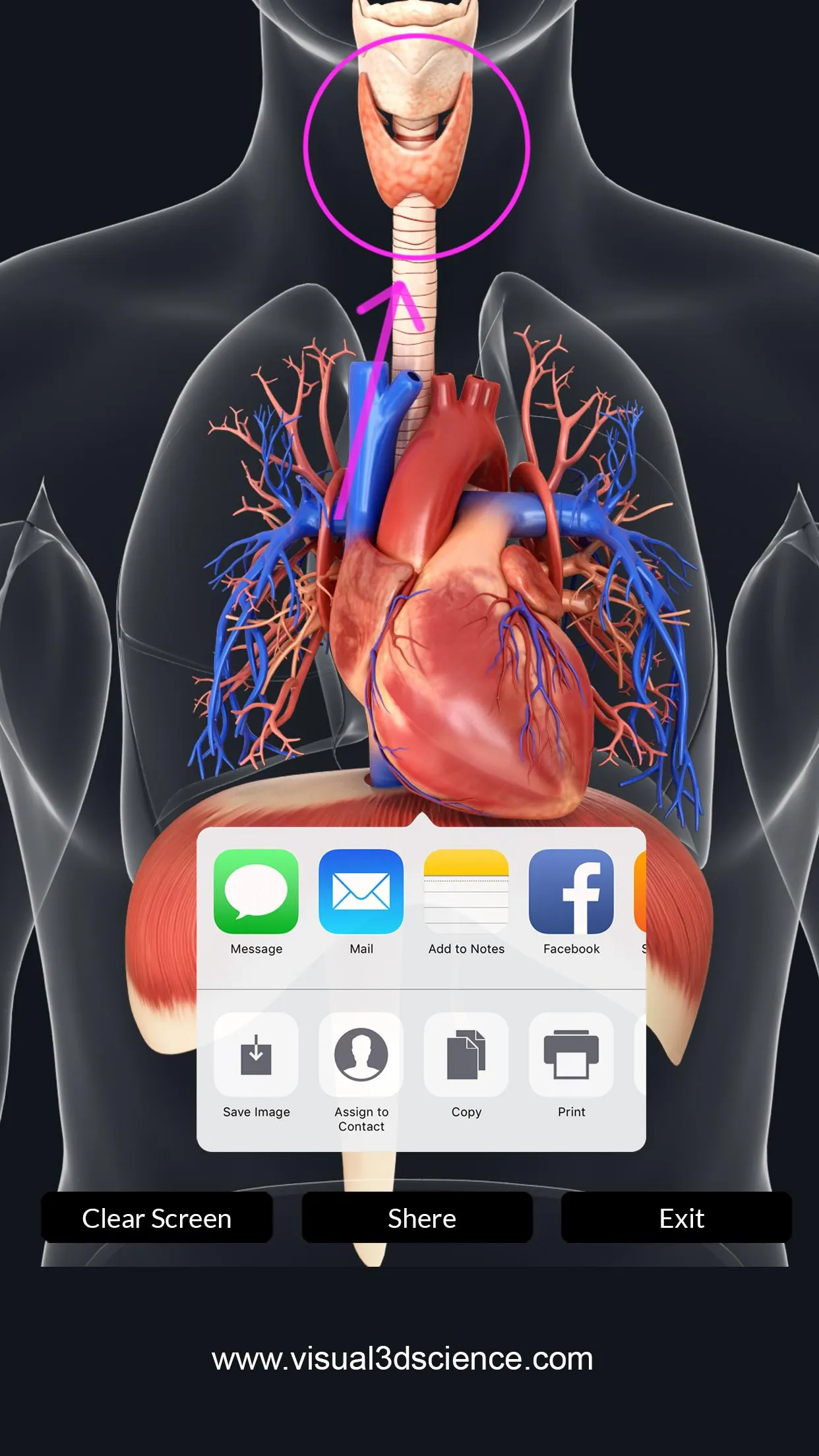 Respiratory System Anatomy | Indus Appstore | Screenshot