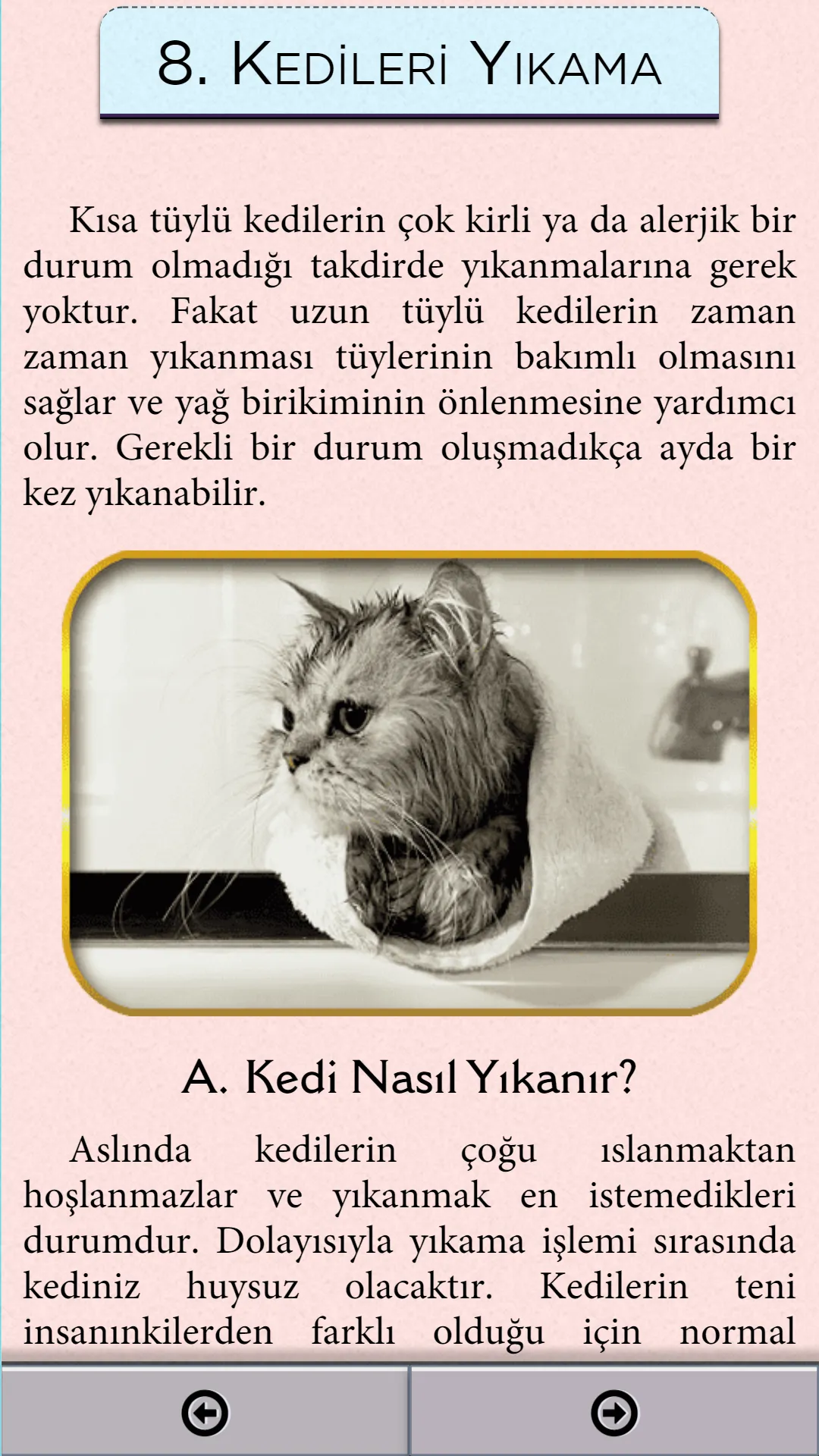 Kedi Bakımı | Indus Appstore | Screenshot