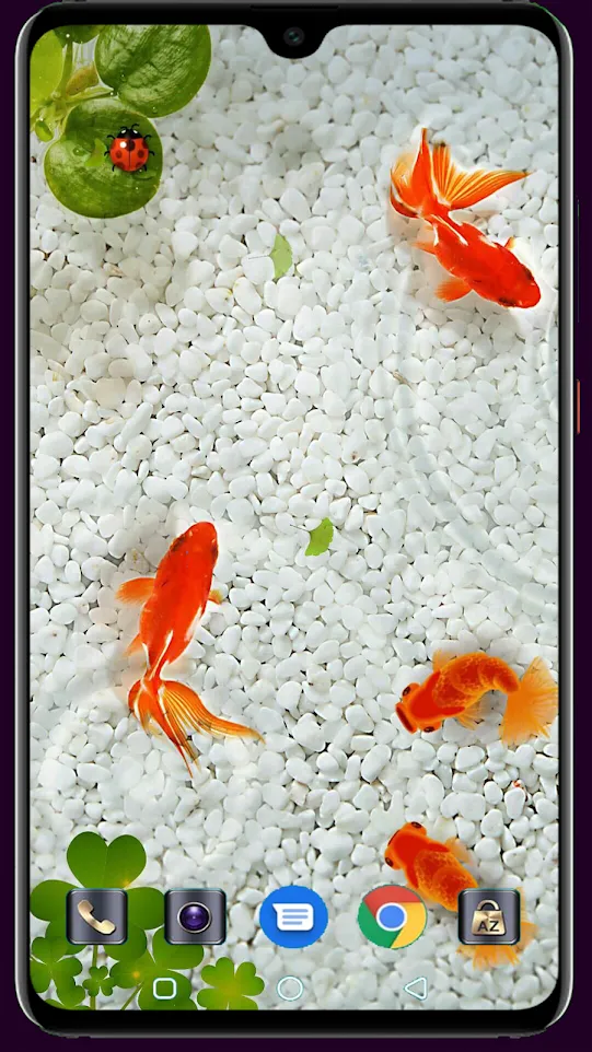 HD Fish Wallpaper | Indus Appstore | Screenshot