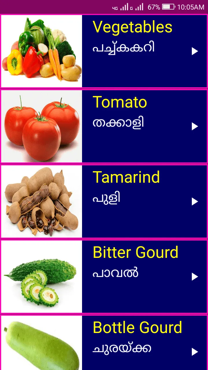 Learn English from Malayalam | Indus Appstore | Screenshot