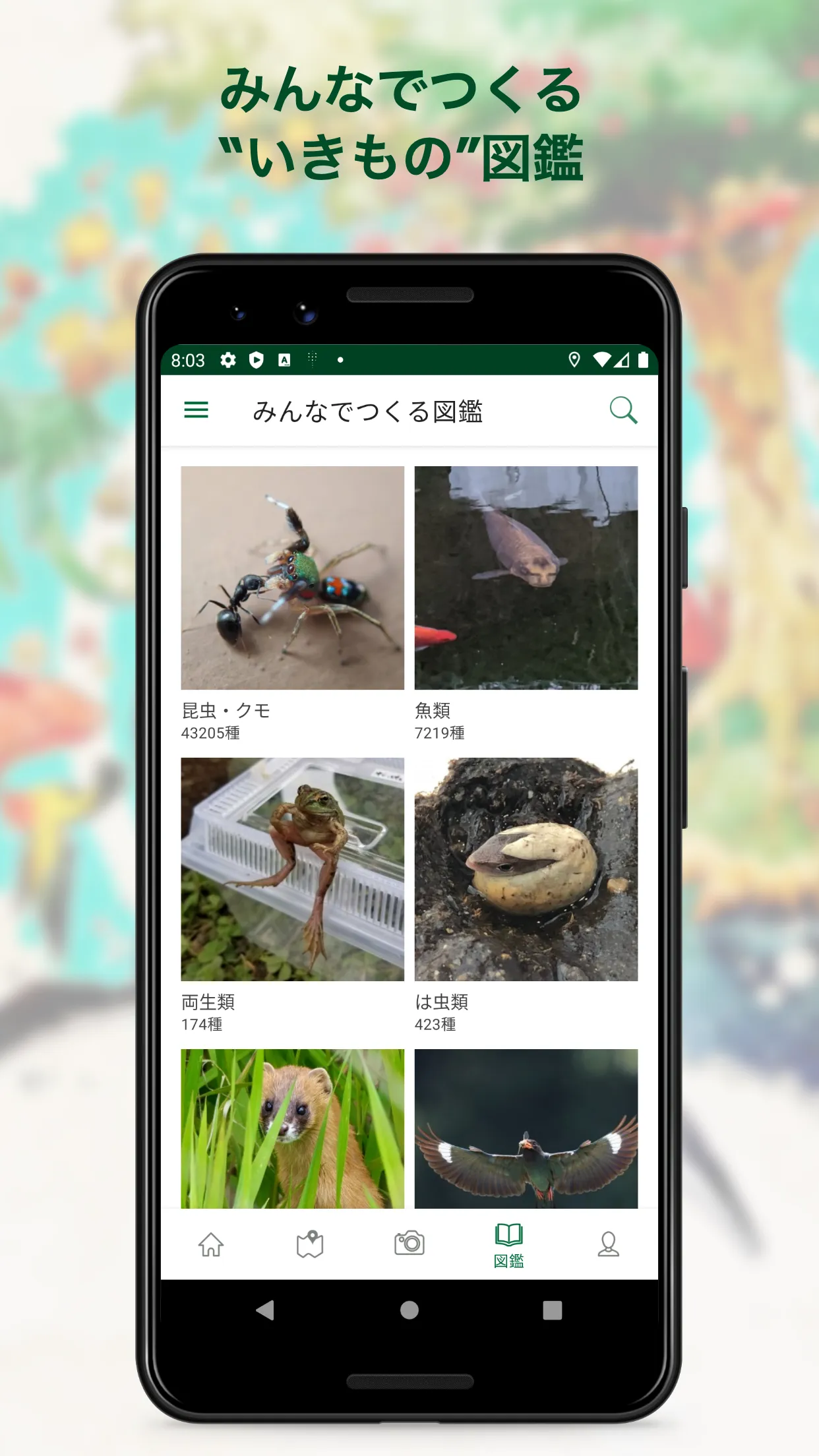 Biome（バイオーム‪）いきものAI図鑑 | Indus Appstore | Screenshot