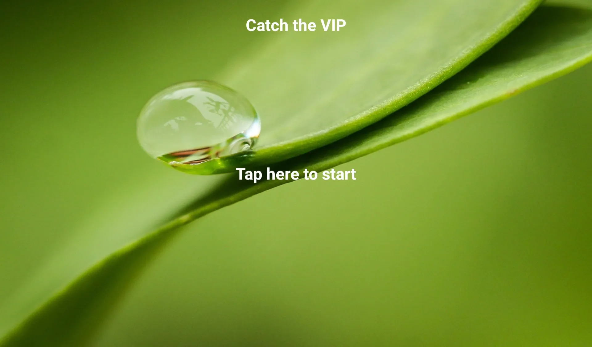 Catch the VIP | Indus Appstore | Screenshot