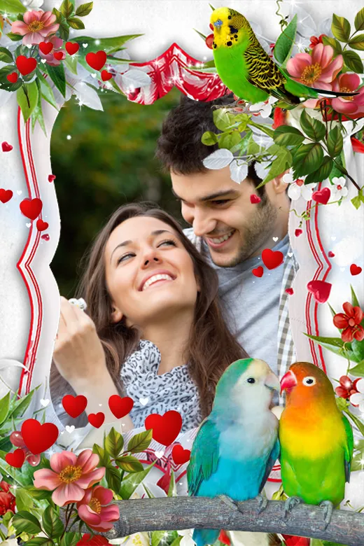 Parrot photo frame | Indus Appstore | Screenshot