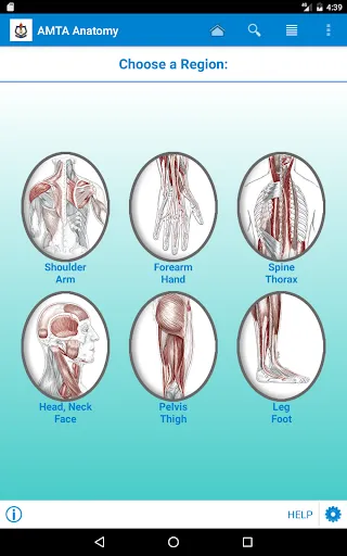 AMTA Anatomy | Indus Appstore | Screenshot