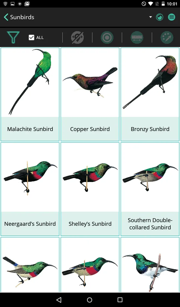 Newman's Birds LITE | Indus Appstore | Screenshot