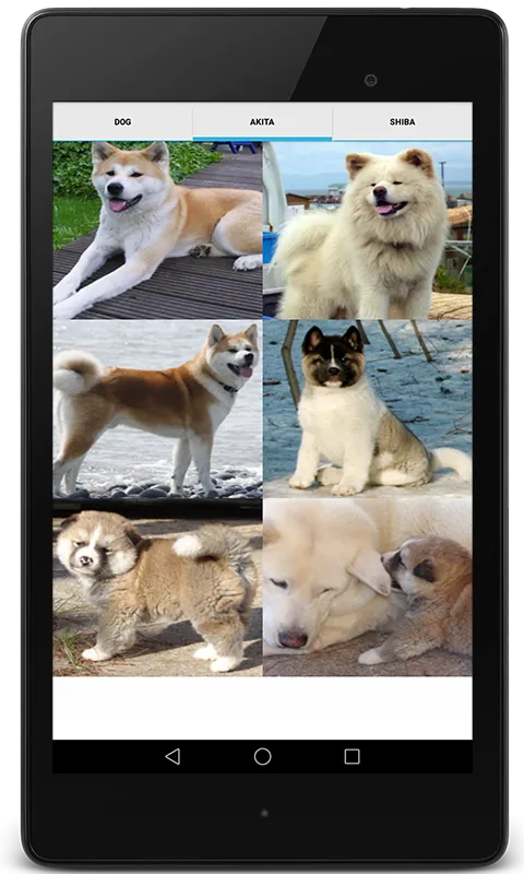 Dog Sounds for Dog | Indus Appstore | Screenshot