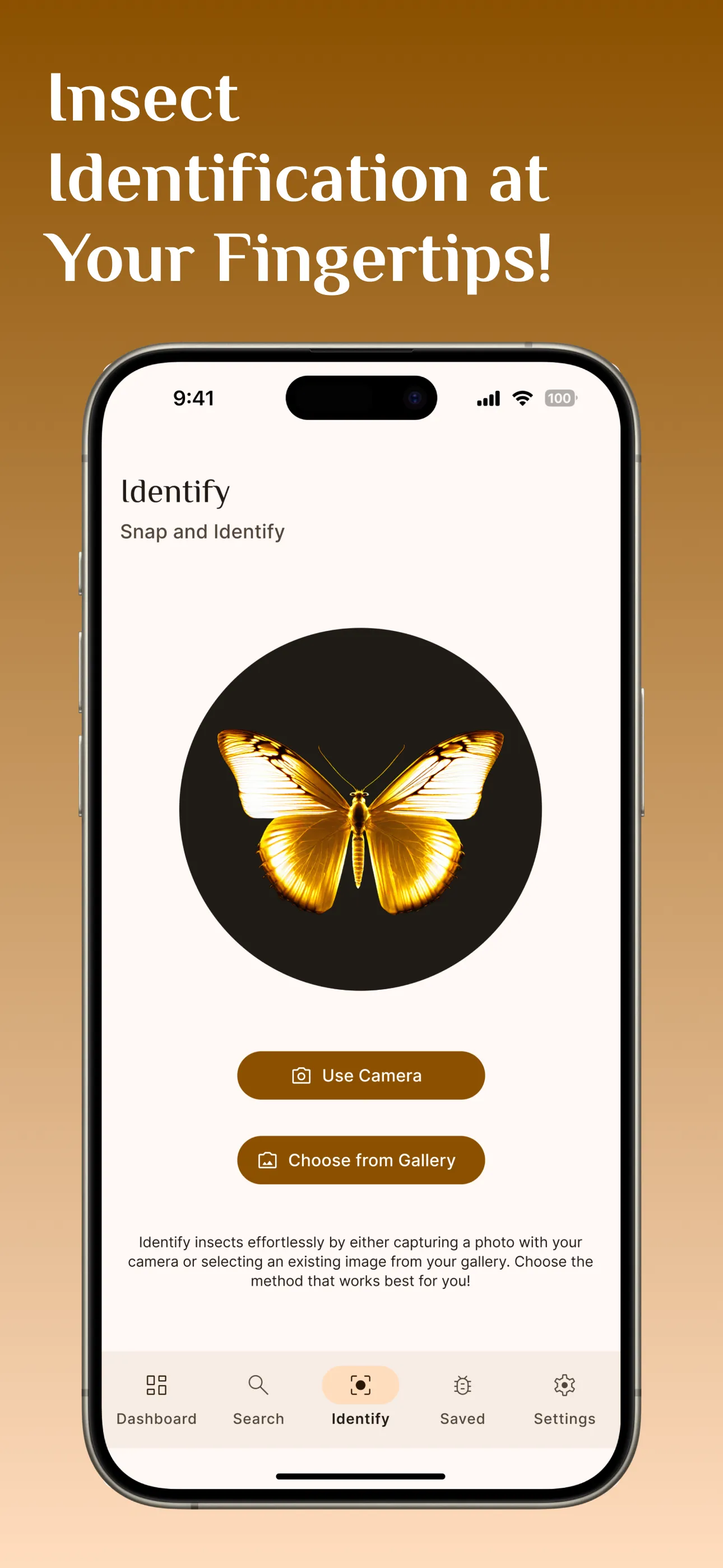 Bug Identifier App, Spider Id | Indus Appstore | Screenshot