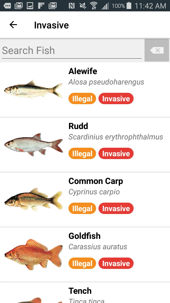 Baitfish Primer | Indus Appstore | Screenshot