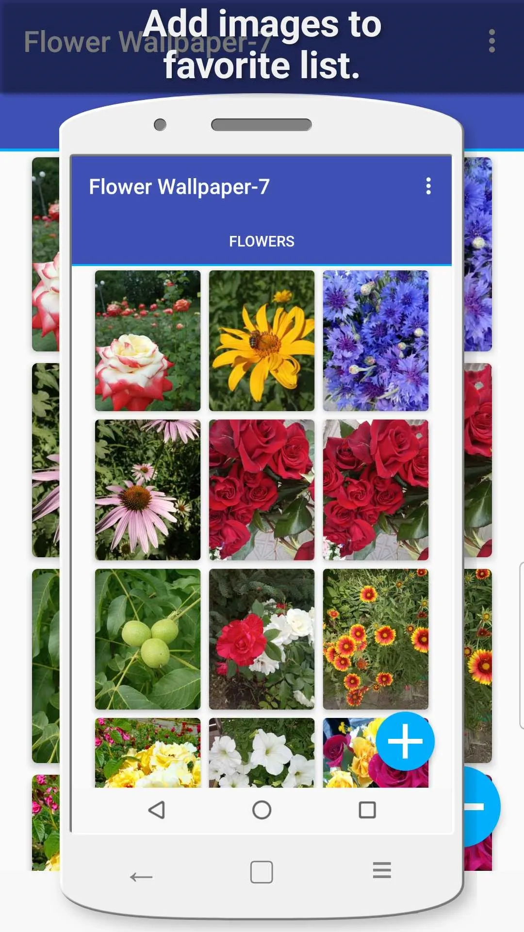 Flower Wallpaper-7 | Indus Appstore | Screenshot