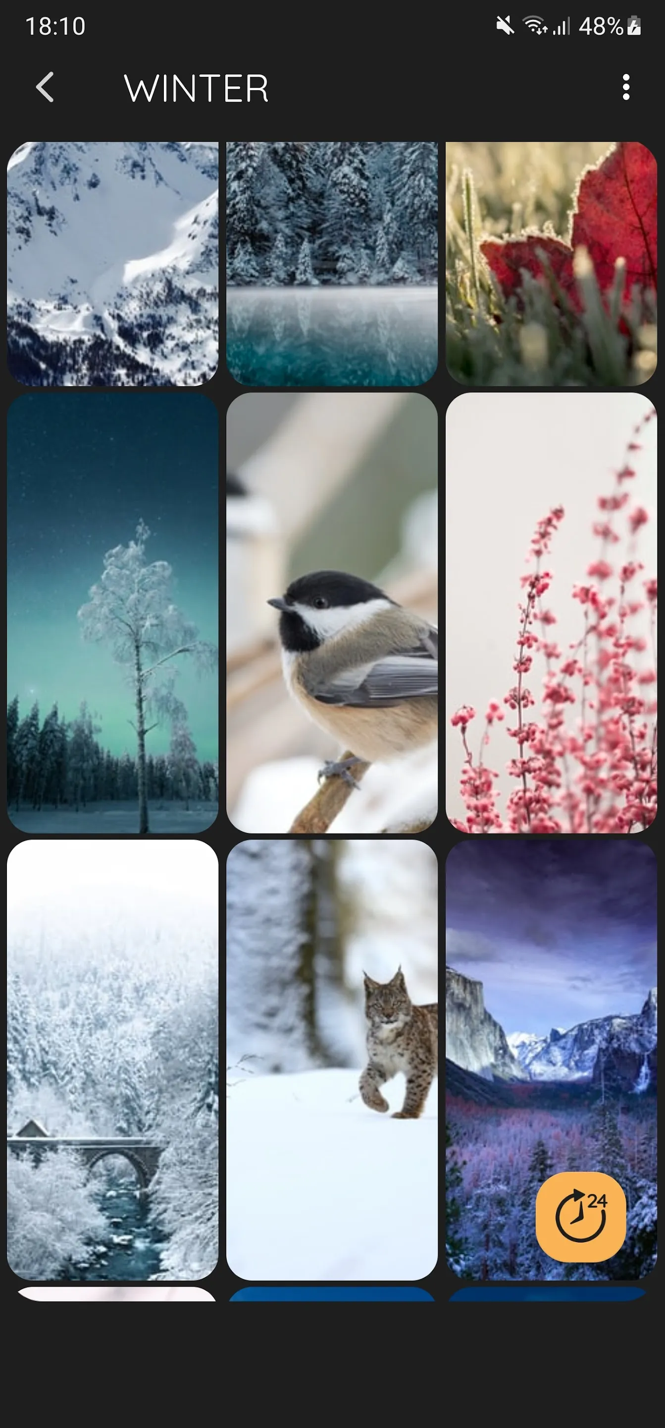 Winter Theme for iWall | Indus Appstore | Screenshot