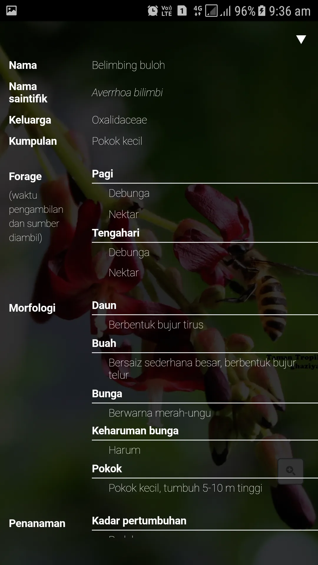 MARDI myBeeMenu | Indus Appstore | Screenshot