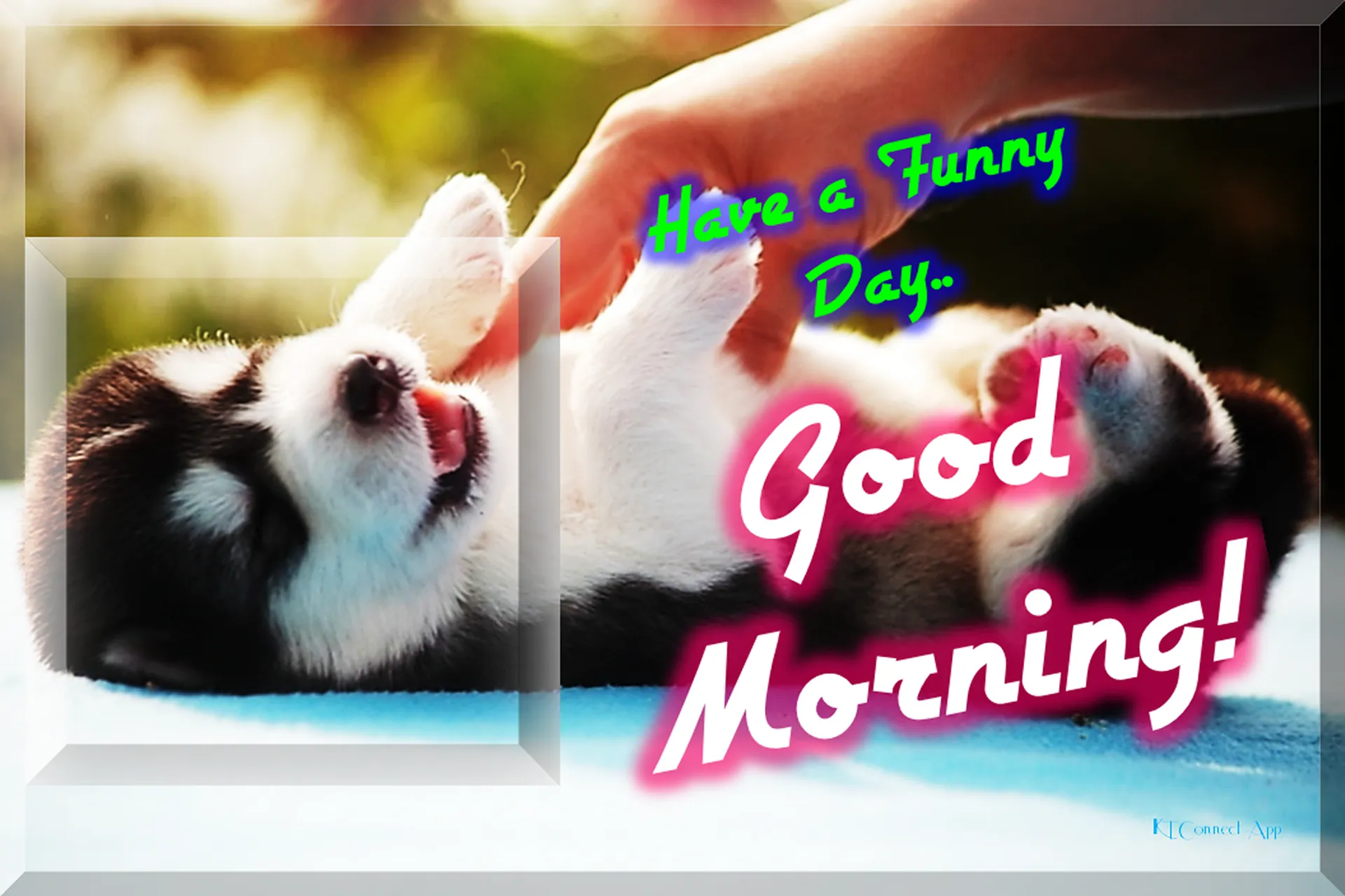 Good Morning Everyday | Indus Appstore | Screenshot