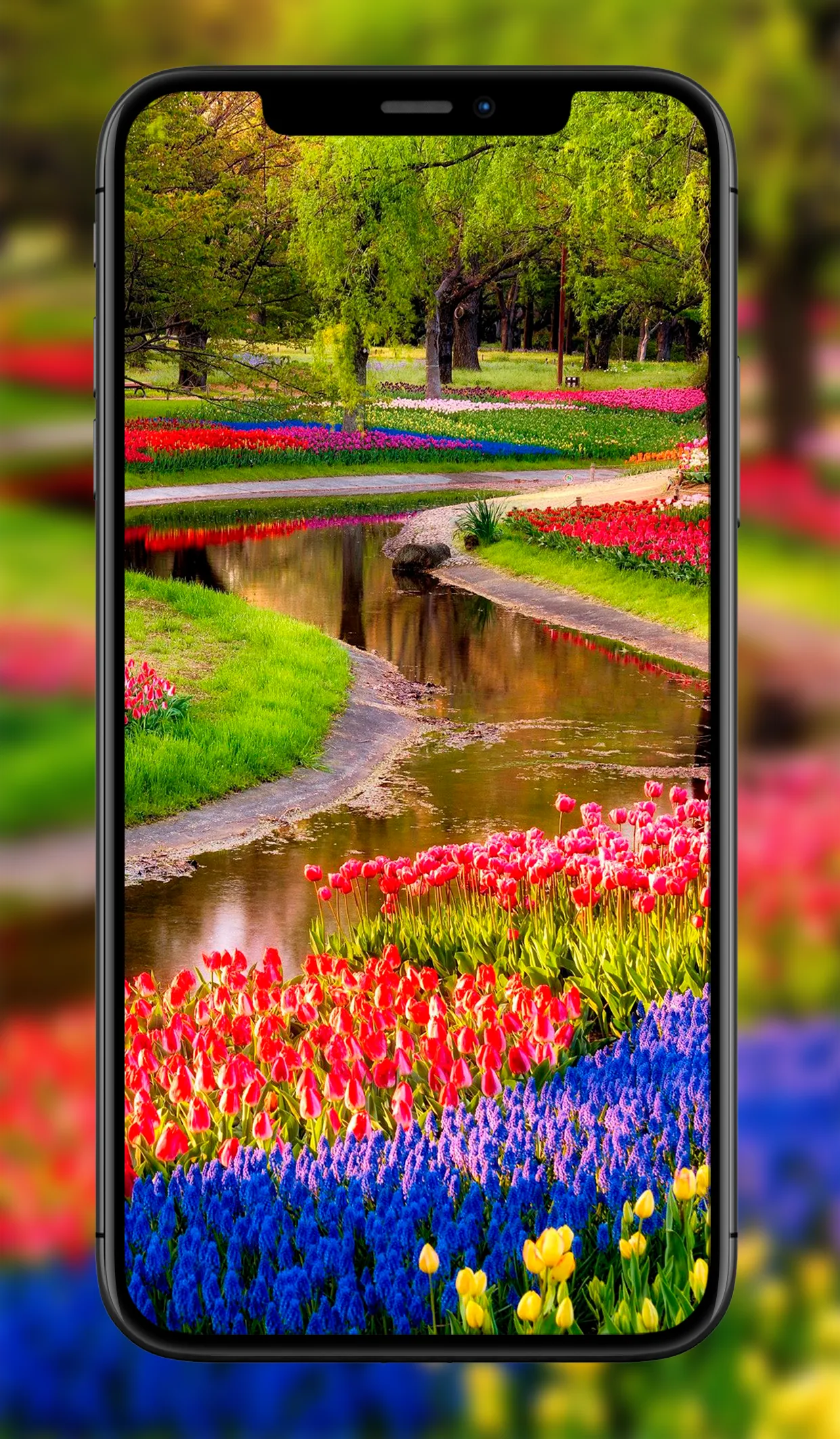 Garden Wallpapers | Indus Appstore | Screenshot