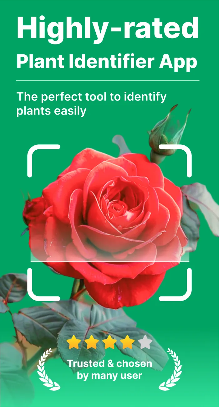 AI Plant Identifier & Care | Indus Appstore | Screenshot
