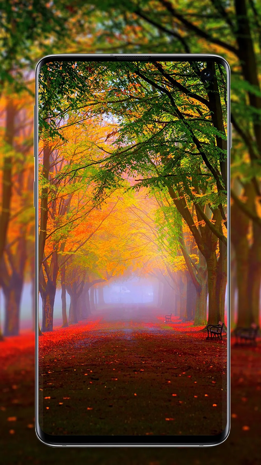 nature wallpaper | Indus Appstore | Screenshot
