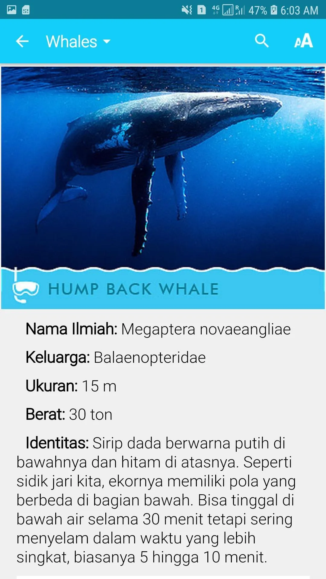 Biota Laut Luwuk-Banggai | Indus Appstore | Screenshot