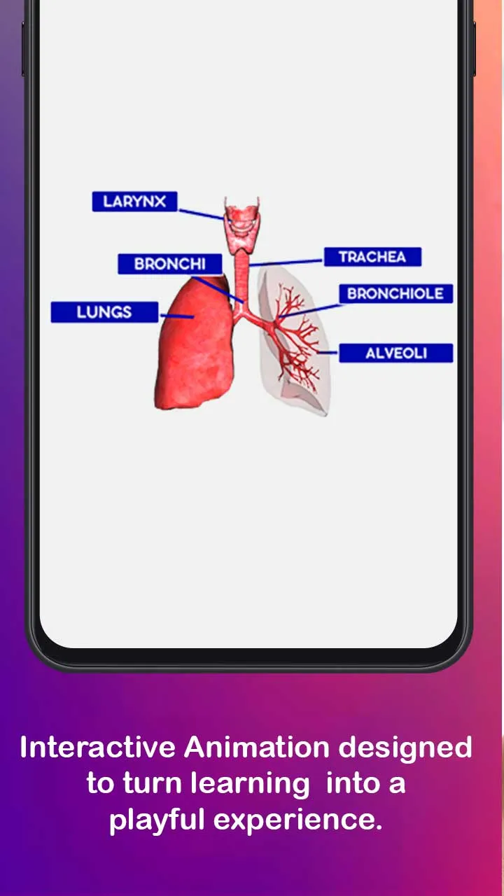 Anatomy AR 4D - Virtual TShirt | Indus Appstore | Screenshot