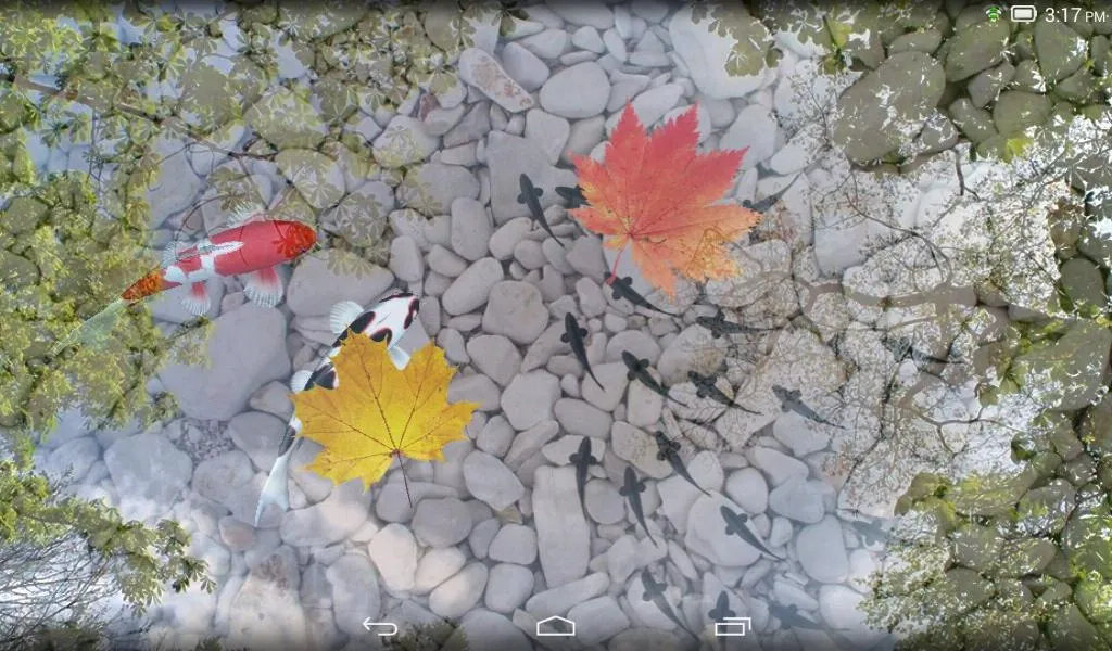 Water Garden Live Wallpaper | Indus Appstore | Screenshot