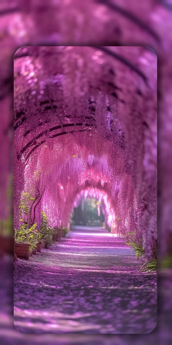 Flower Wallpapers 4K | Indus Appstore | Screenshot