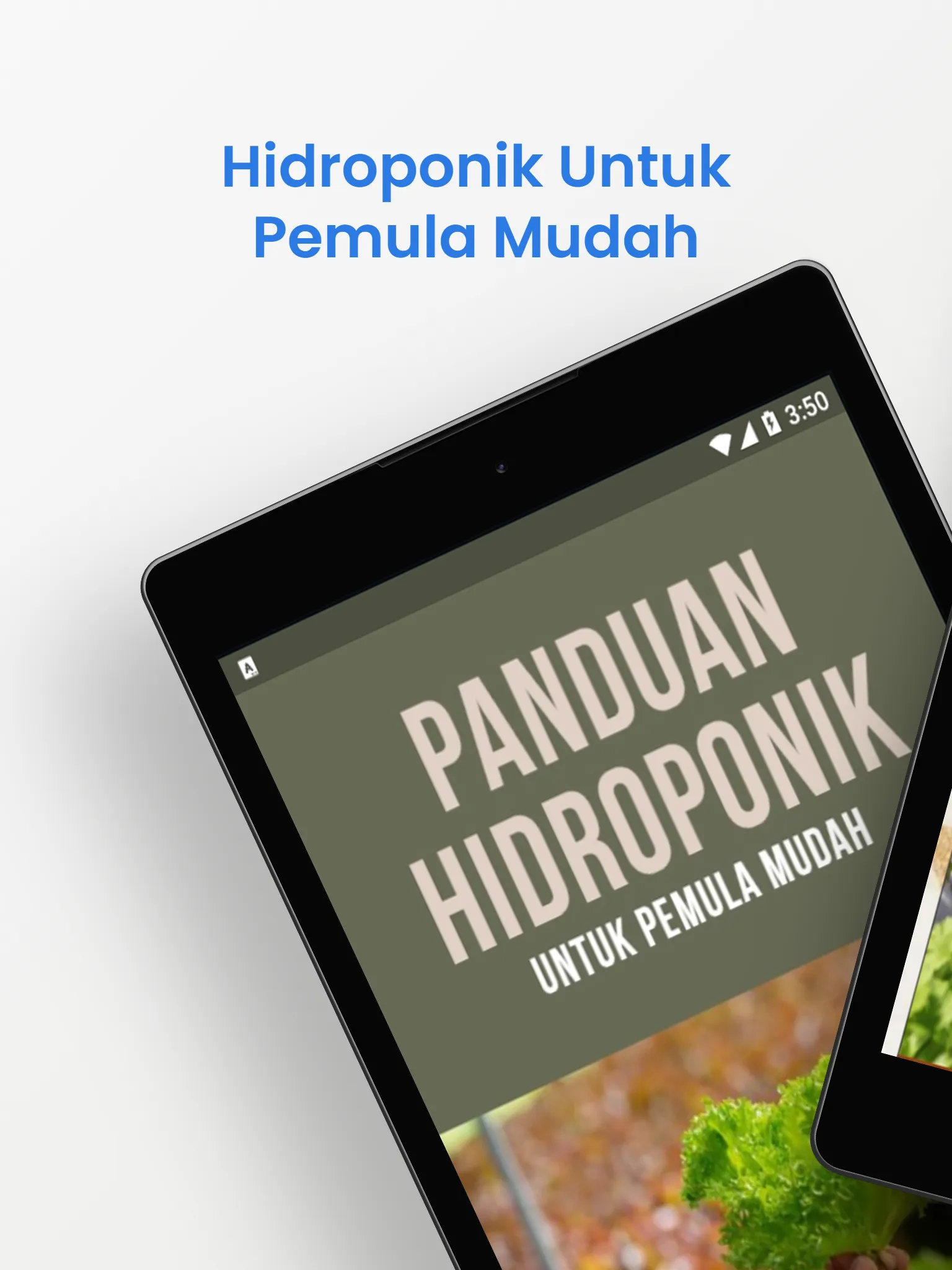 Hidroponik Untuk Pemula Mudah | Indus Appstore | Screenshot