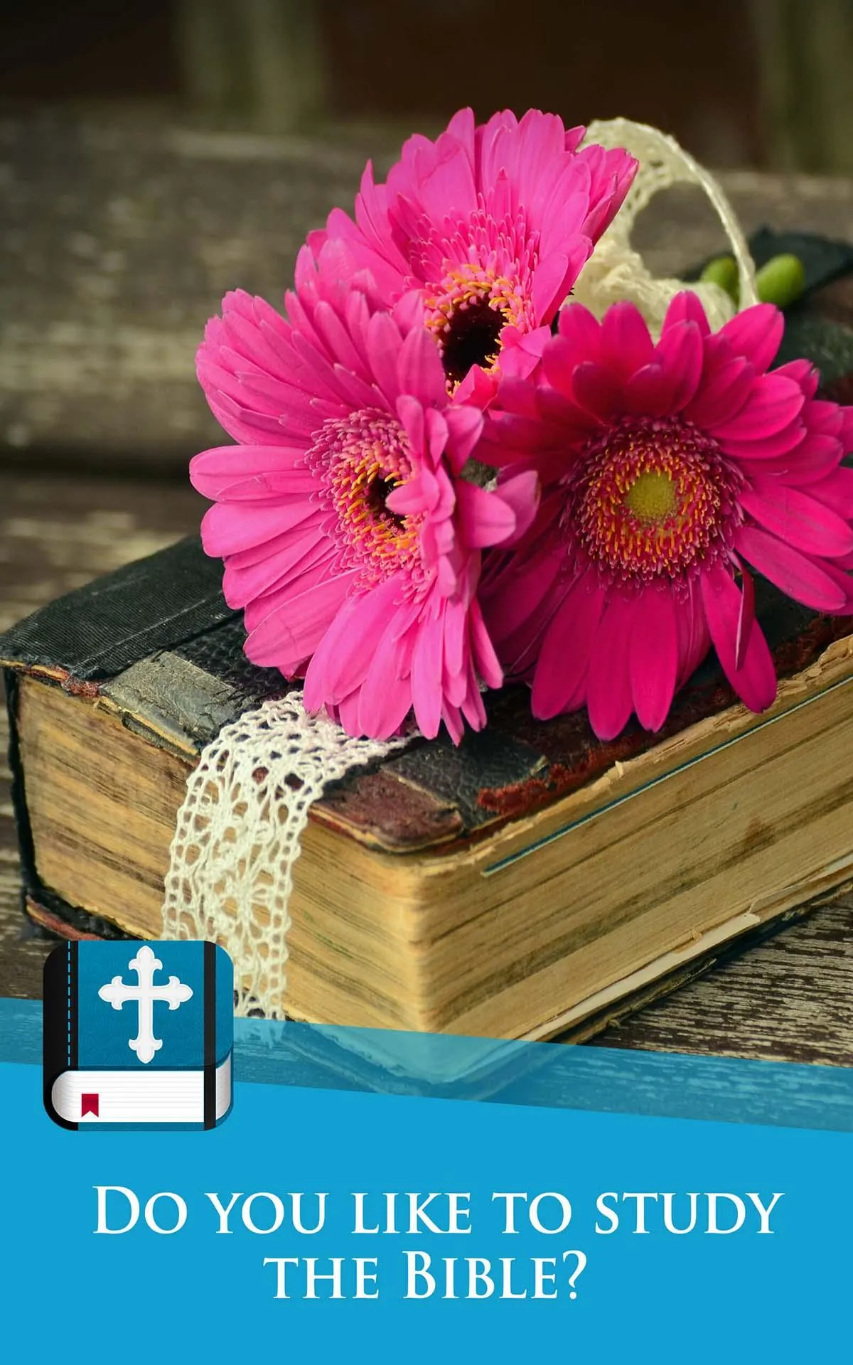 American Standard Bible | Indus Appstore | Screenshot