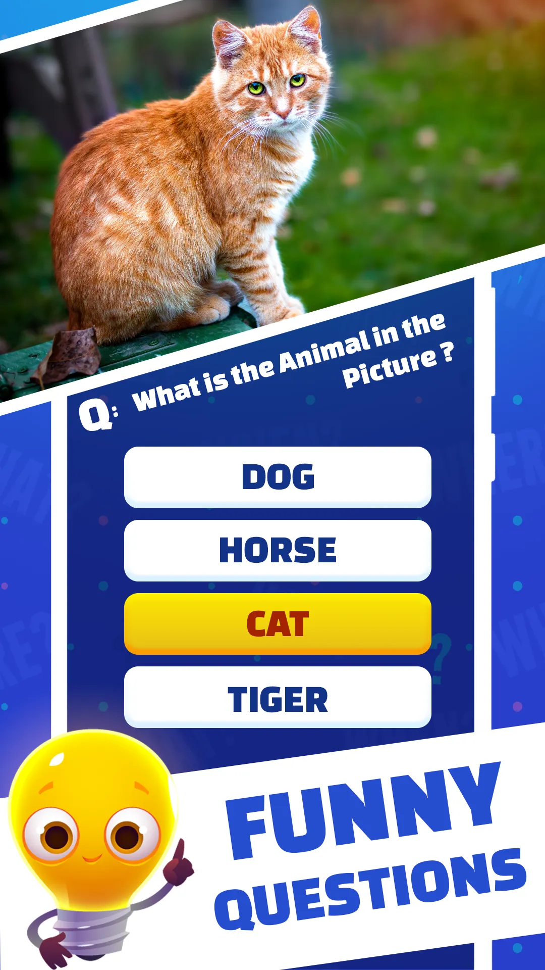 Brain Teasers: IQ Brain Test | Indus Appstore | Screenshot