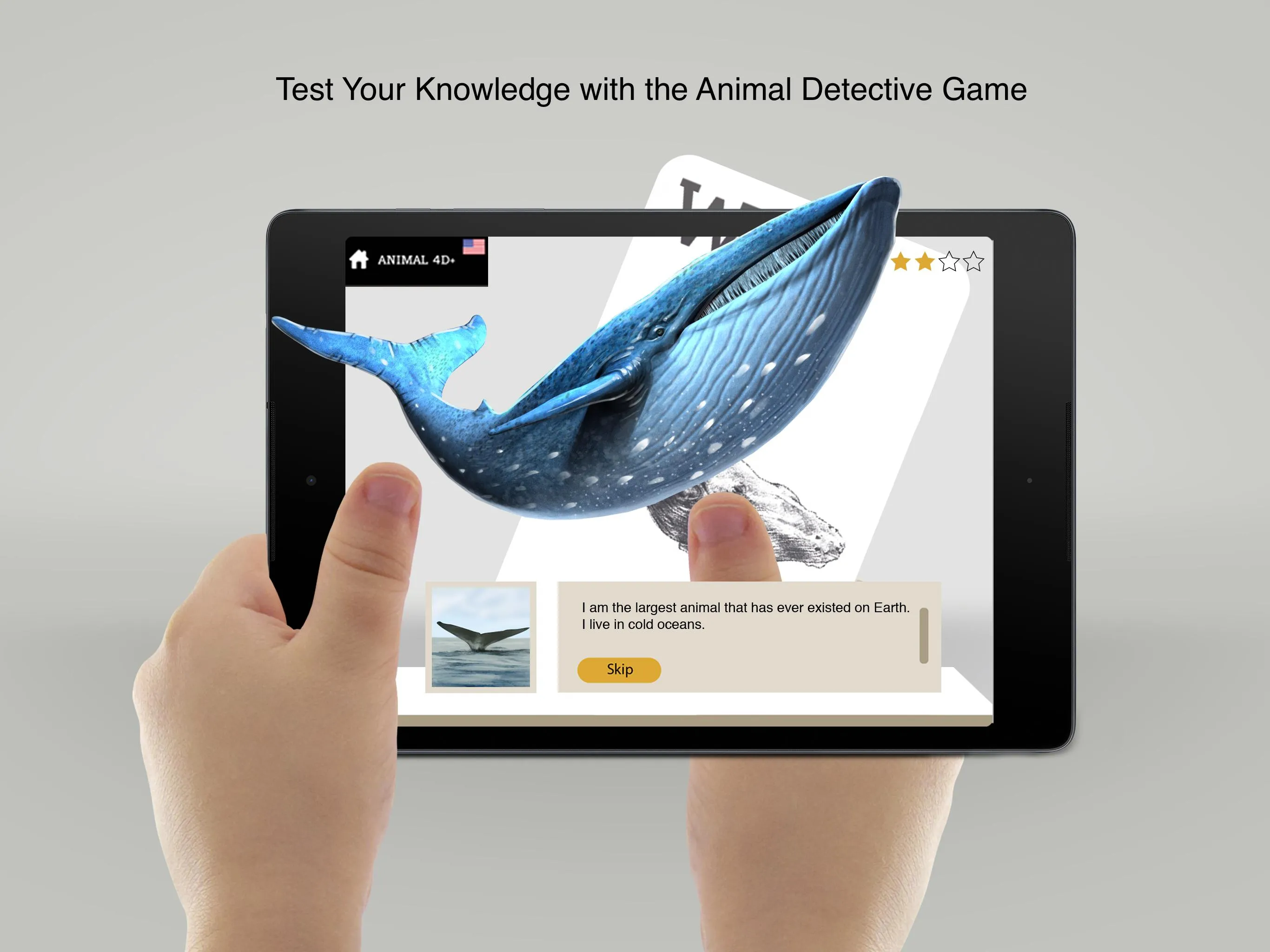 Animal 4D+ | Indus Appstore | Screenshot