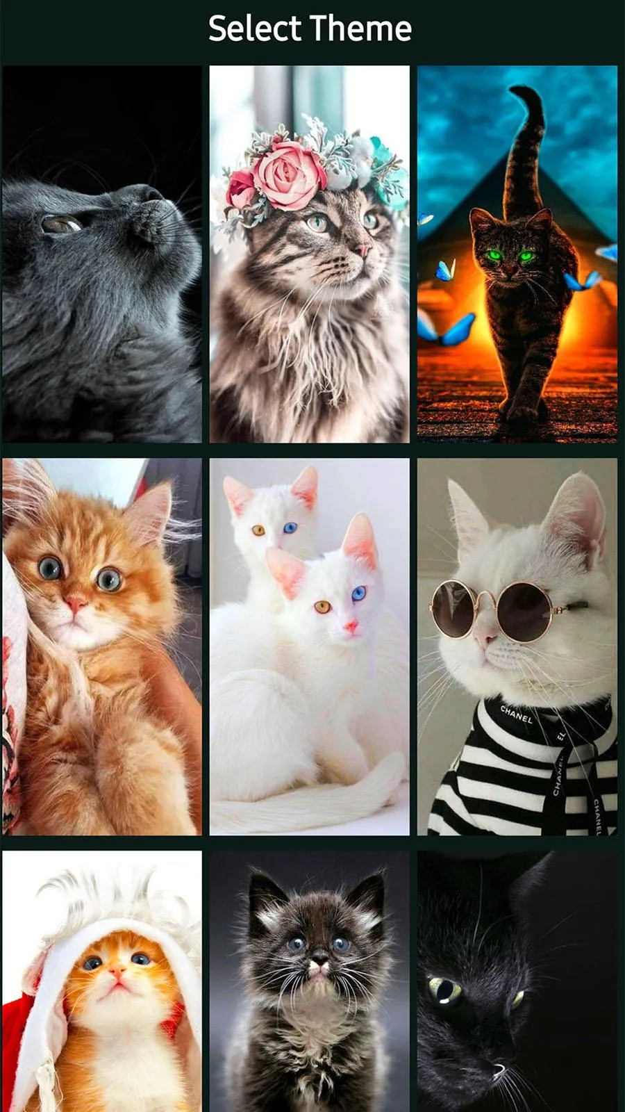 Kitty Cat Password Lock Screen | Indus Appstore | Screenshot