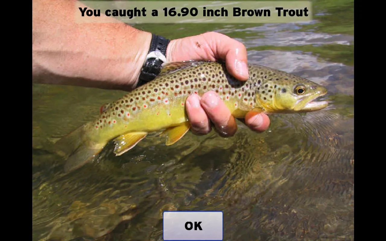 Fly Fishing Simulator | Indus Appstore | Screenshot