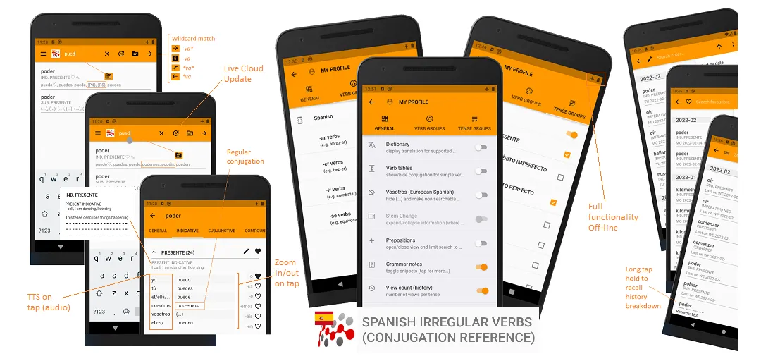 SPANISH VERB CONJUGATION +QUIZ | Indus Appstore | Screenshot