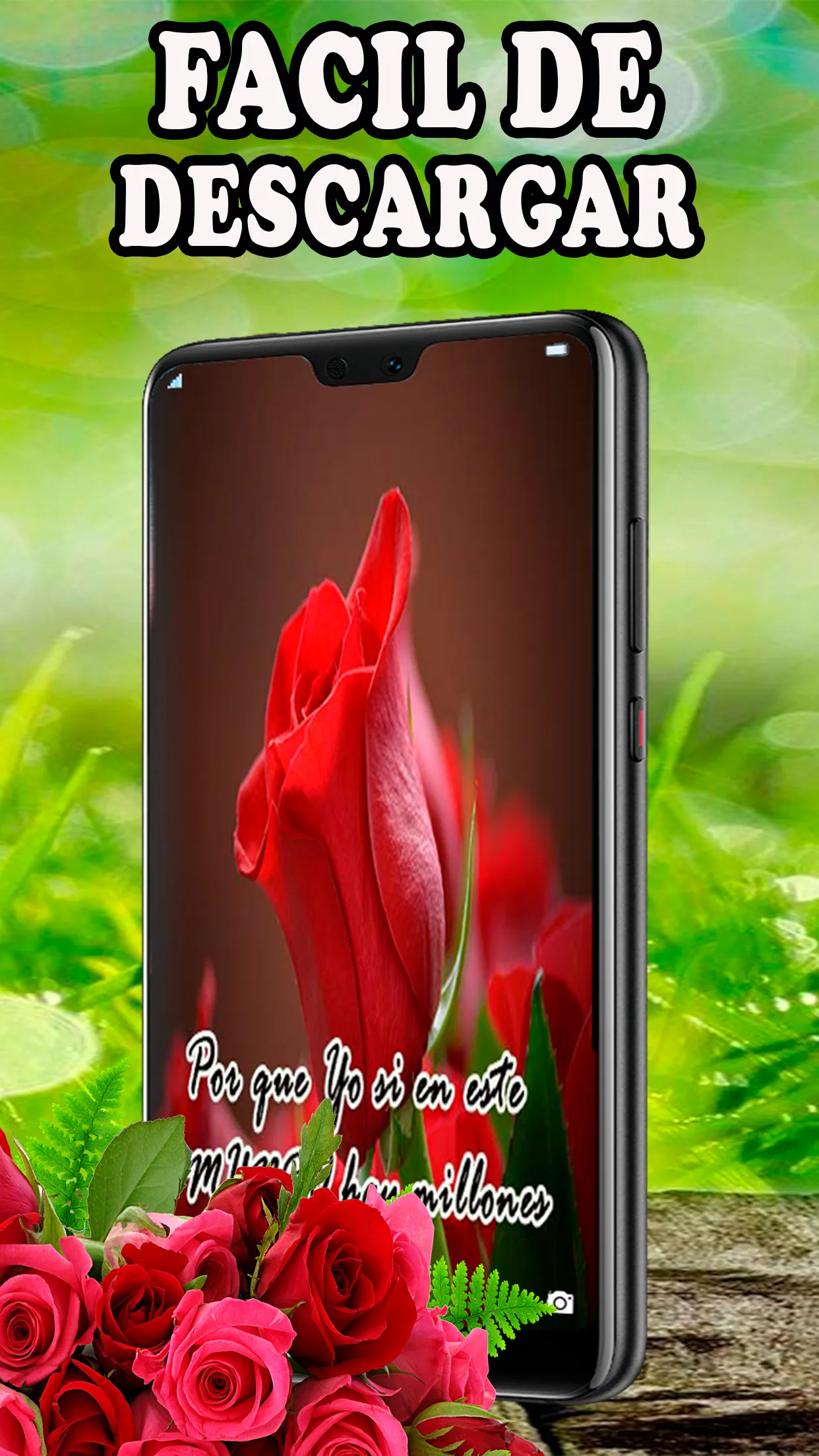 Rosas Rojas Hermosas Flores | Indus Appstore | Screenshot