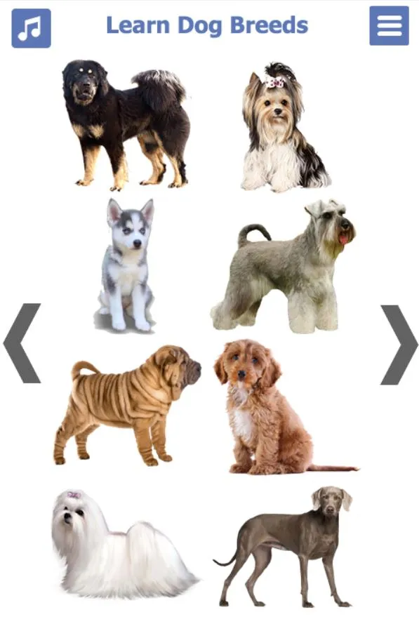 Dog Breeds | Golden Retriever  | Indus Appstore | Screenshot