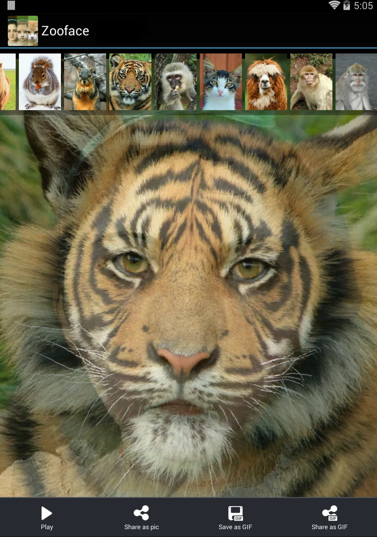 Zooface - GIF Animal Morph | Indus Appstore | Screenshot