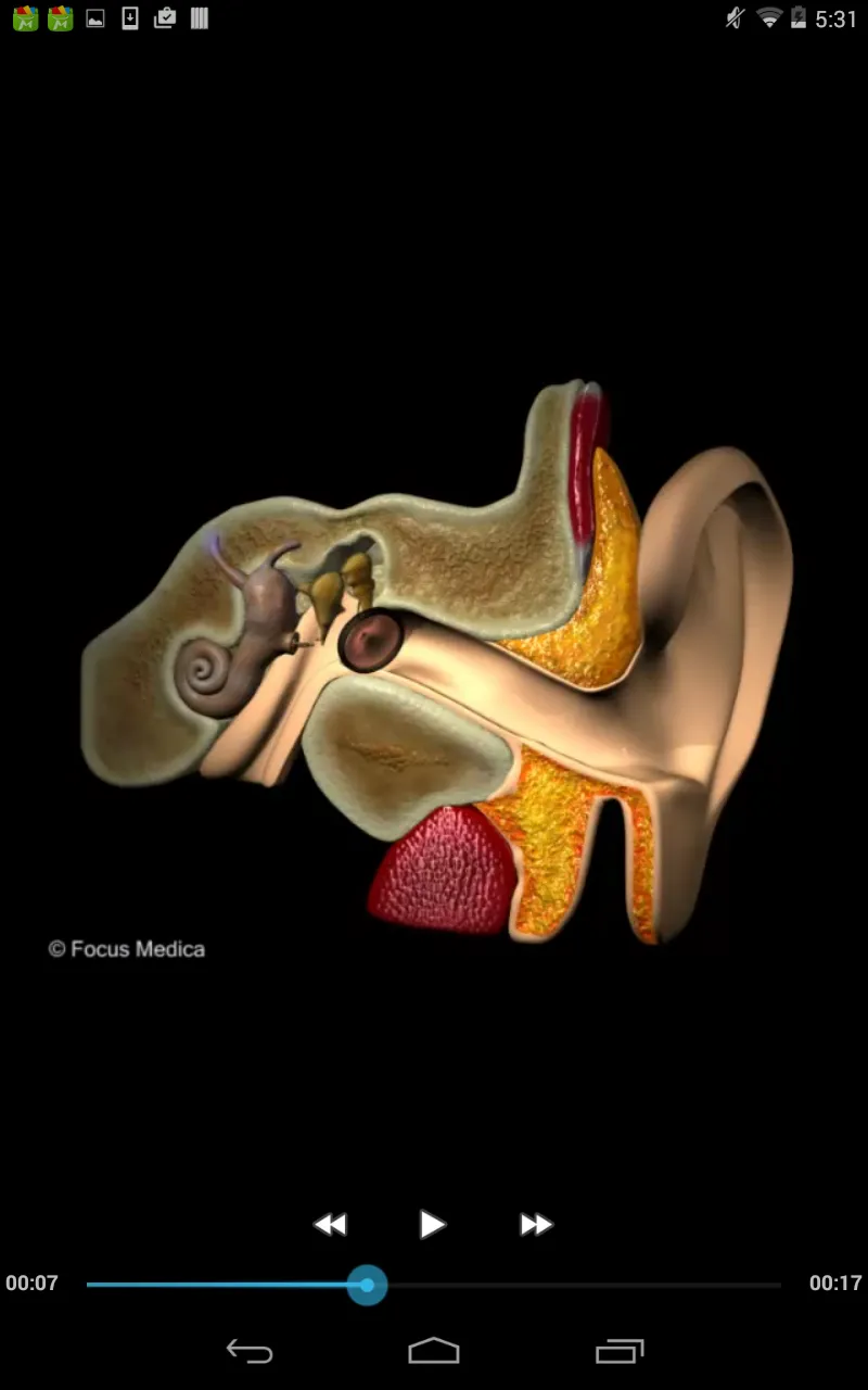 Otolaryngology-Dictionary | Indus Appstore | Screenshot