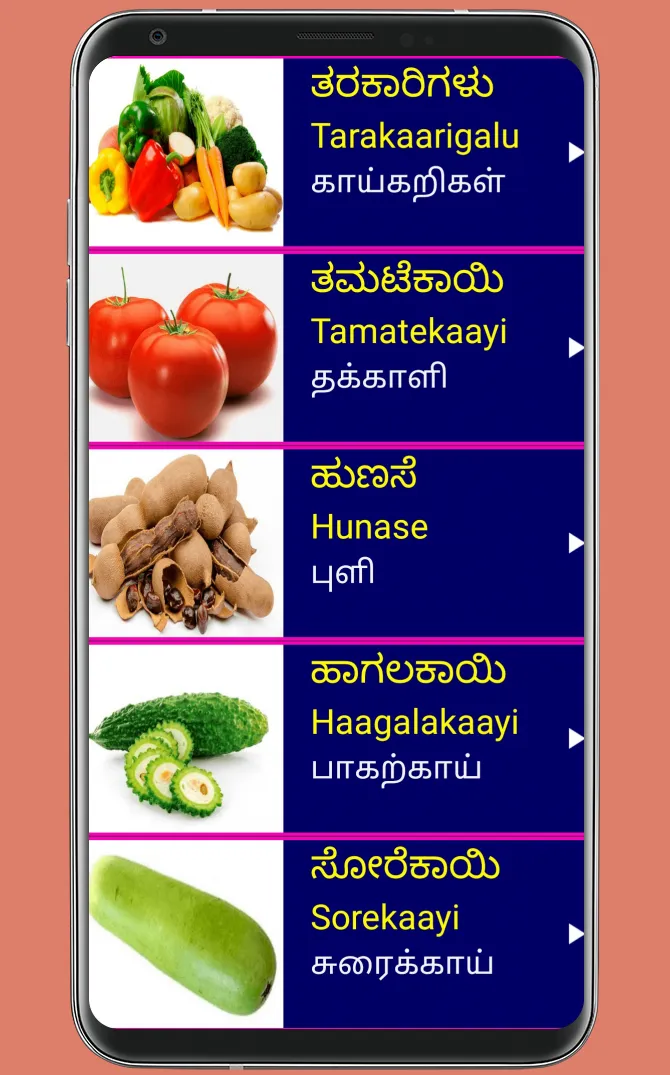 Learn Kannada From Tamil | Indus Appstore | Screenshot