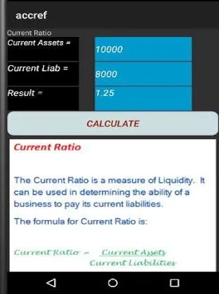 Basic Accounting 2.2 | Indus Appstore | Screenshot