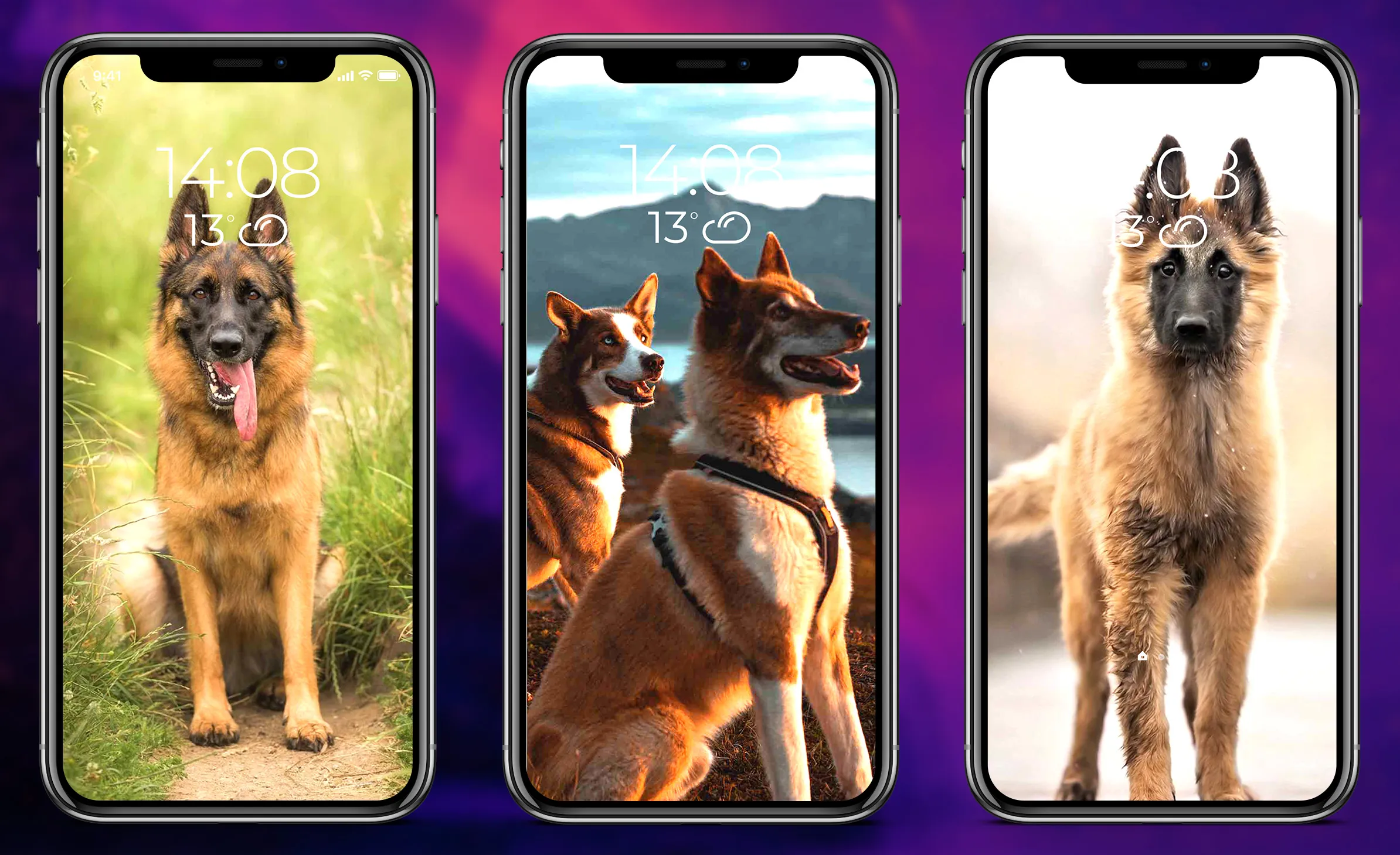 German Shepherd Wallpapers | Indus Appstore | Screenshot