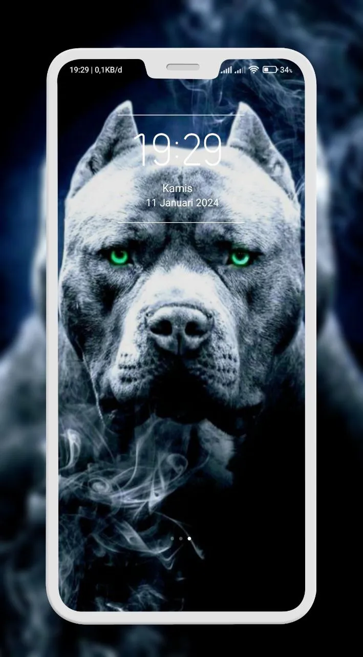 Pitbull Wallpaper | Indus Appstore | Screenshot