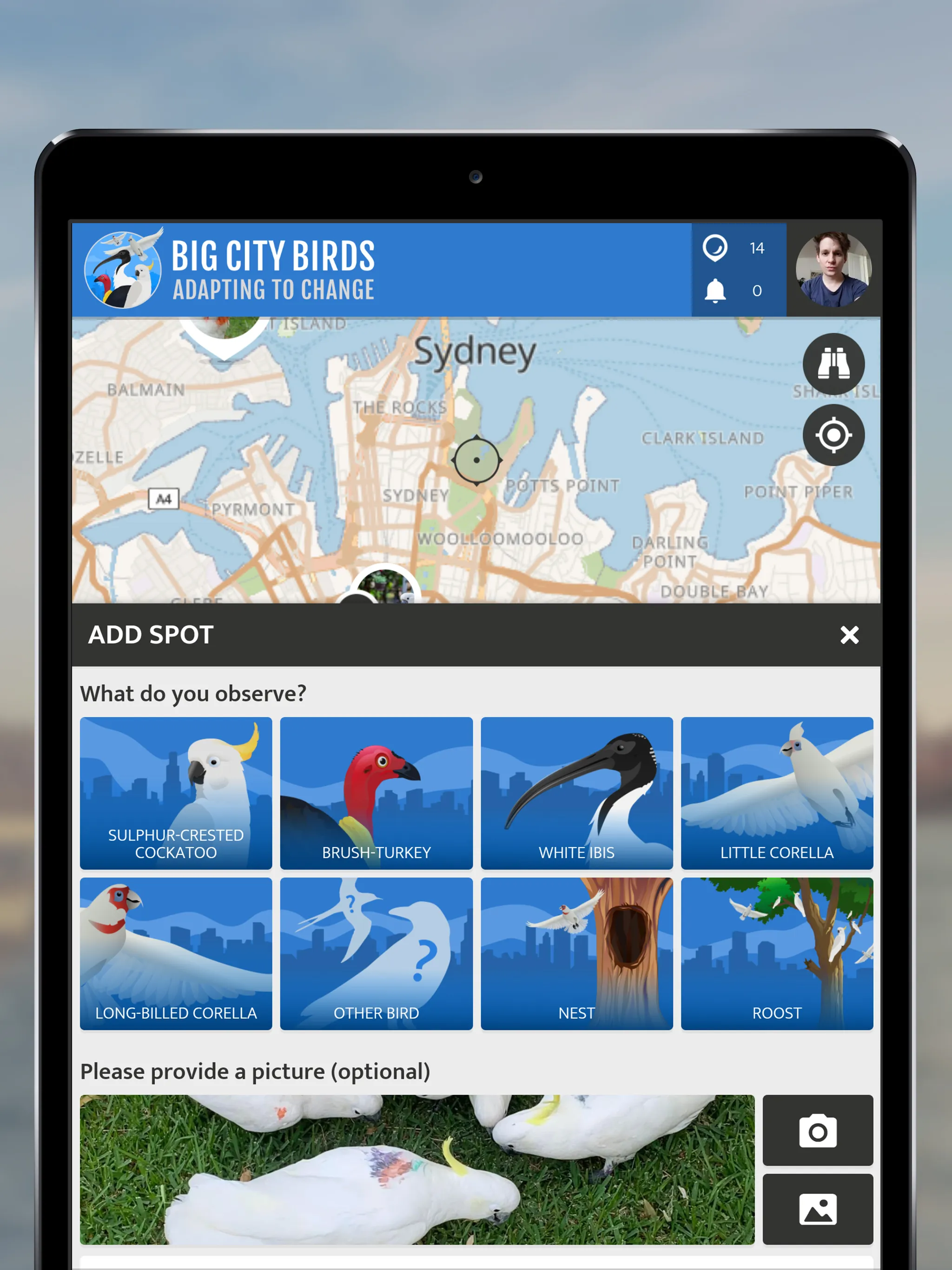 Big City Birds | SPOTTERON | Indus Appstore | Screenshot