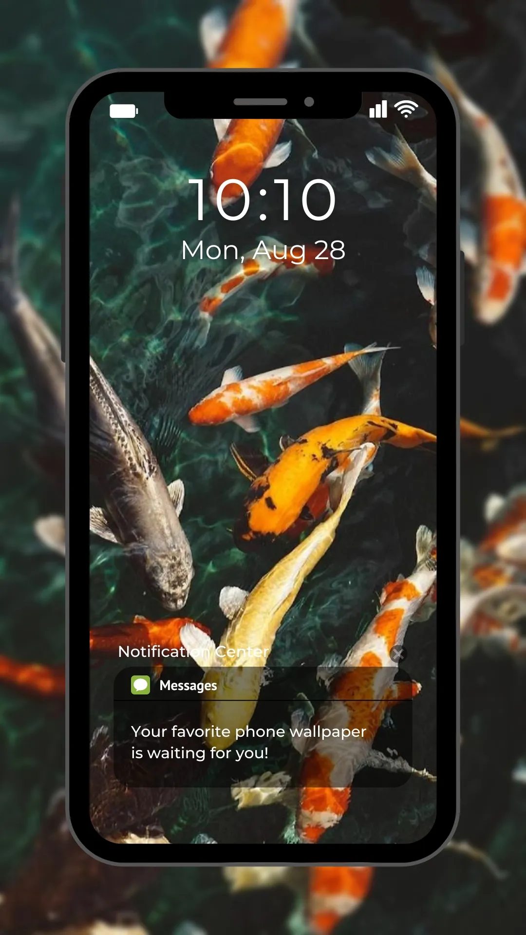 Water Garden Live Wallpaper | Indus Appstore | Screenshot