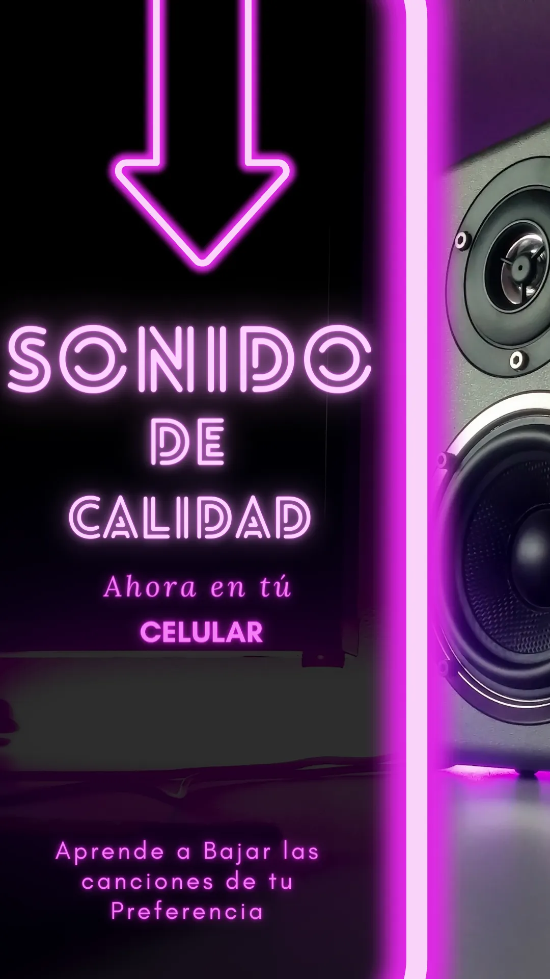 Como Bajar Musica a mi celular | Indus Appstore | Screenshot