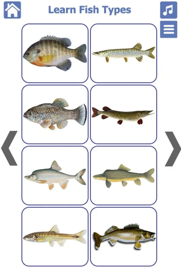 Fish Types | Goldfish Saltwate | Indus Appstore | Screenshot