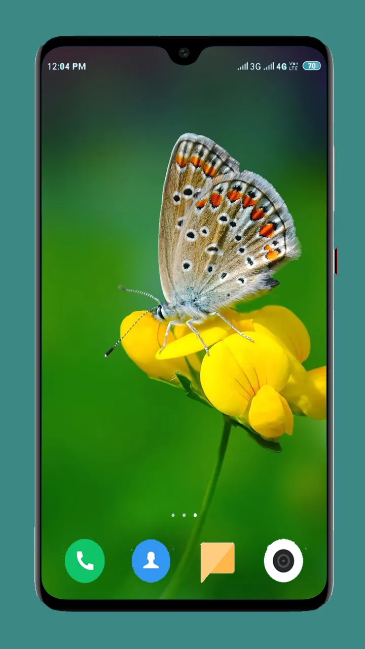 Butterfly Wallpaper 4K | Indus Appstore | Screenshot