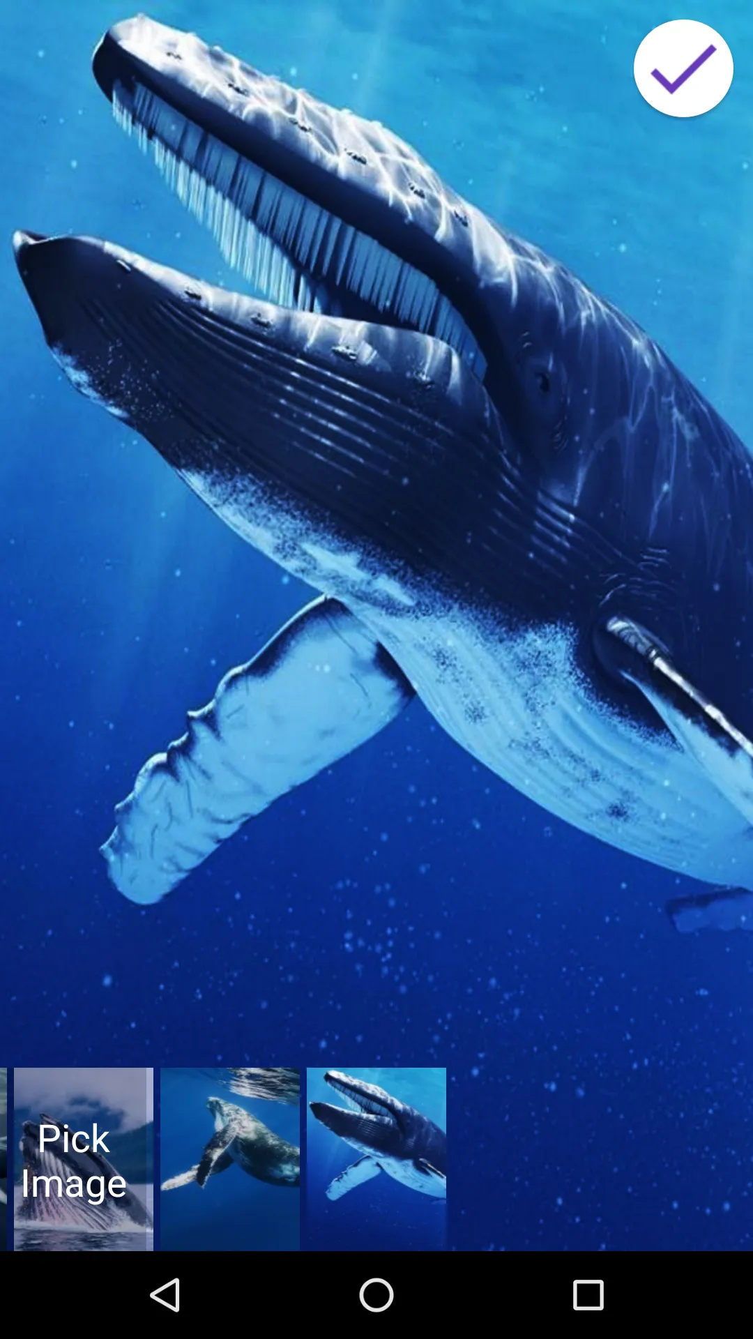 Blue Whale Lock Screen | Indus Appstore | Screenshot