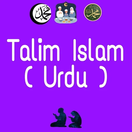 Taleem ul Islam In Urdu Offlin | Indus Appstore | Screenshot